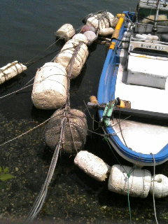 舞鶴湾