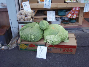 PA310270.JPG