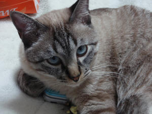 PB300338.JPG