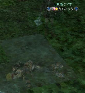 ｲﾗｲﾗｲﾗｲﾗ