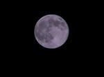 t02200165_0800060010763638478.jpg