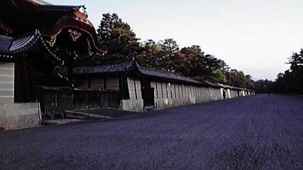 3b443373.jpg