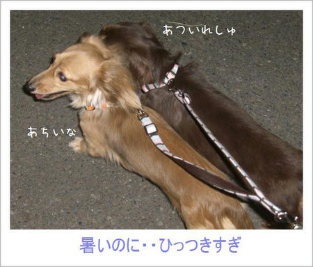 CIMG2457.JPG