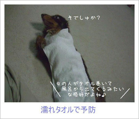 CIMG2459.JPG
