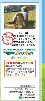 92b09250.gif