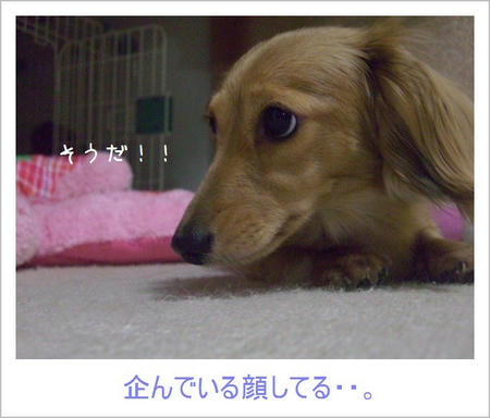 CIMG2519.JPG