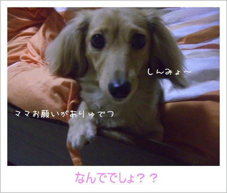 CIMG2580.JPG