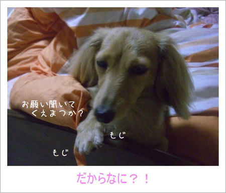 CIMG2581.JPG