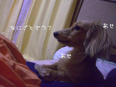 CIMG2655.JPG