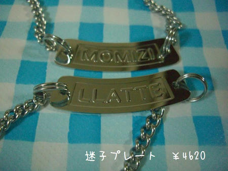 CIMG2711.JPG