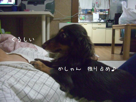 CIMG2784.JPG