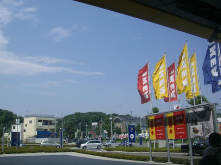 CIMG3108.JPG