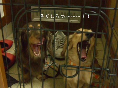 CIMG3369.JPG