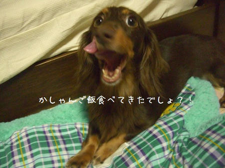 CIMG3382.JPG