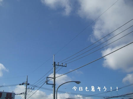 CIMG3479.JPG