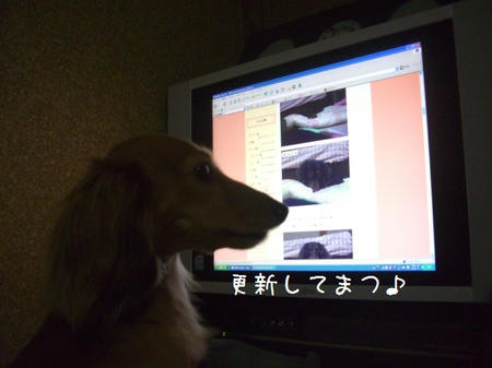 CIMG3635.JPG