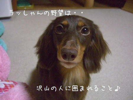CIMG3659.JPG