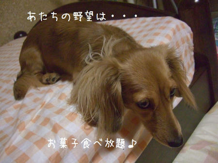 CIMG3660.JPG