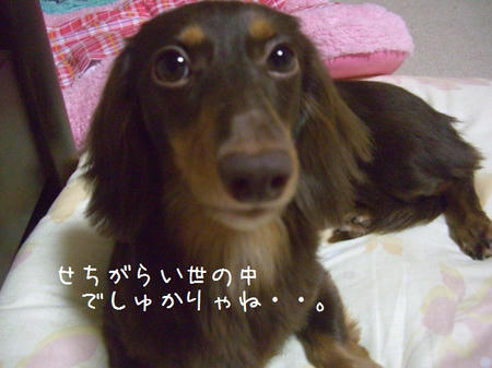 CIMG3664.JPG