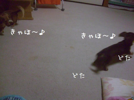 CIMG3763.JPG