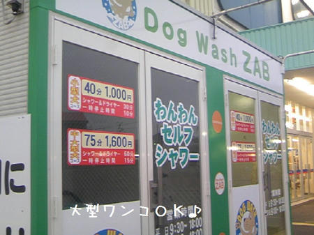 TS3C0047.JPG