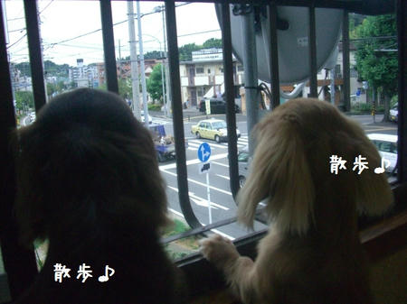 CIMG3976.JPG