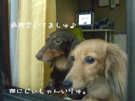 CIMG3978.JPG