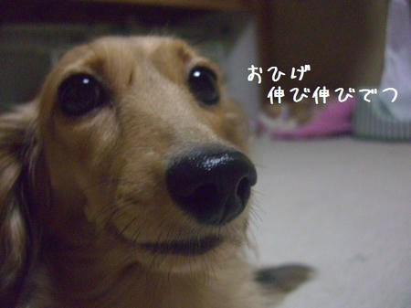 CIMG4061.JPG