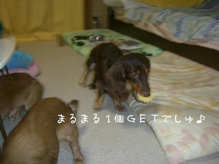 CIMG4448.JPG