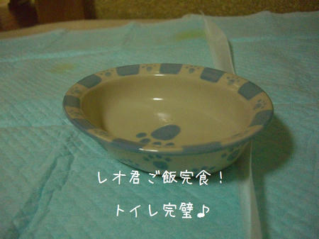 CIMG4450.JPG