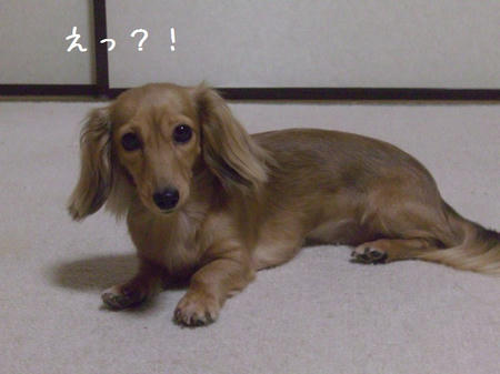 CIMG4890.JPG