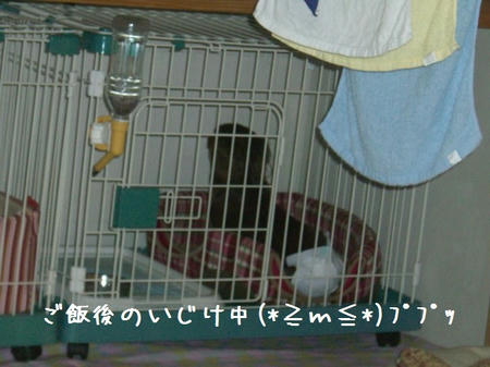 CIMG5224.JPG