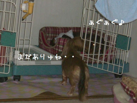 CIMG5238.JPG