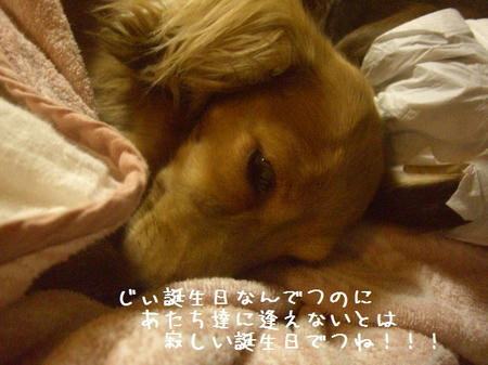 CIMG5369.JPG
