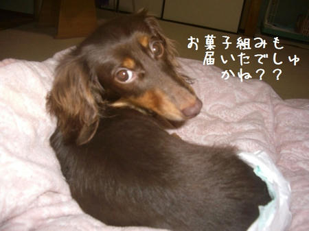 CIMG5412.JPG
