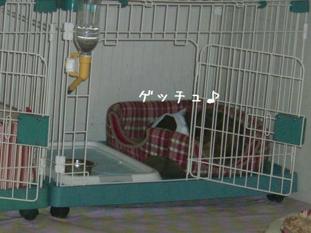 CIMG5493.JPG
