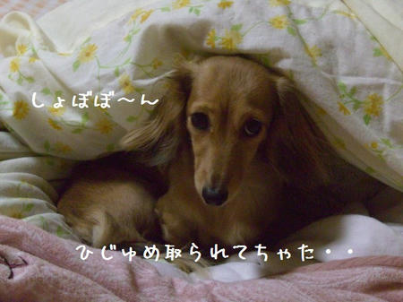 CIMG5498.JPG