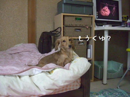 CIMG5628.JPG