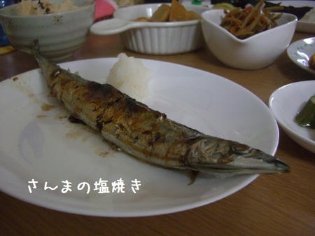 CIMG5630.JPG