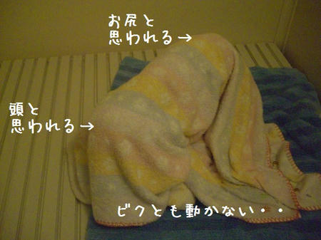 CIMG5713.JPG