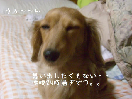 CIMG6121.JPG