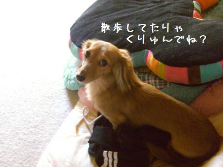 CIMG6267.JPG