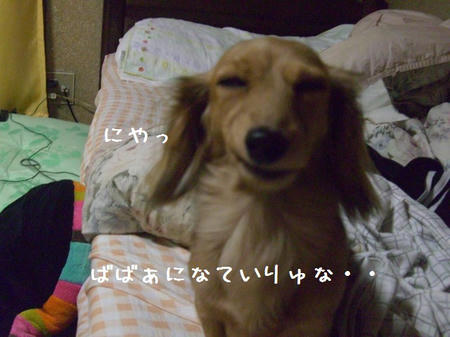 CIMG6308.JPG
