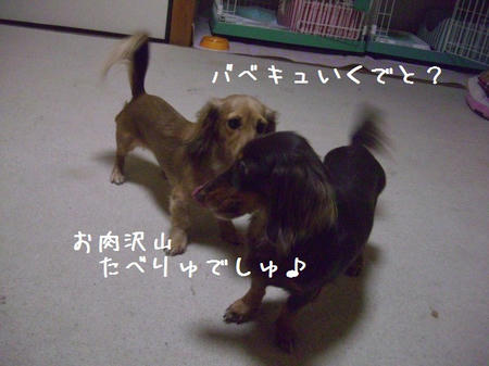 CIMG6333.JPG