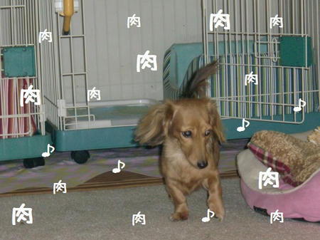 CIMG6337.JPG