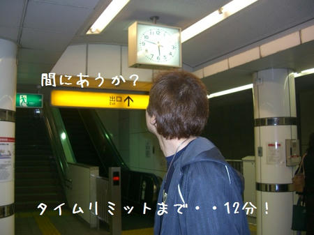 CIMG6366.JPG