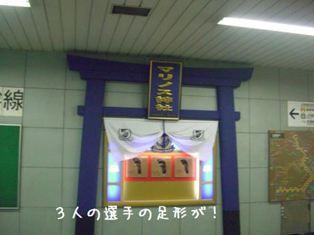 CIMG6367.JPG