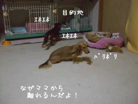 CIMG6381.JPG