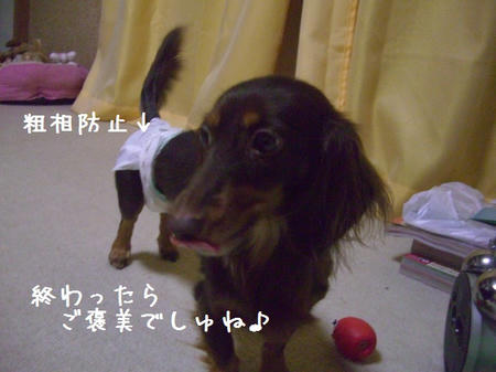CIMG6460.JPG