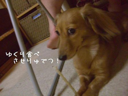 CIMG6465.JPG